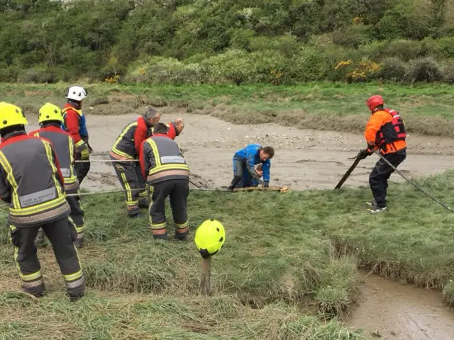 The bull being rescued