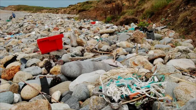 pollution on beaches