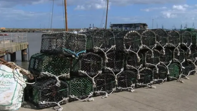 Lobster pots