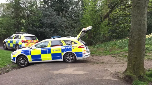 Police cars in park