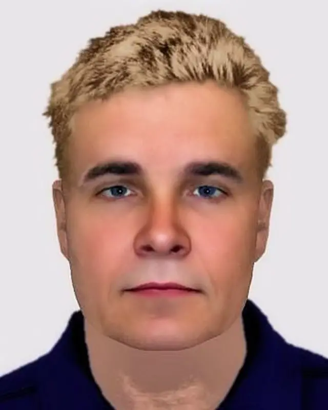 Horsham sex attack efit