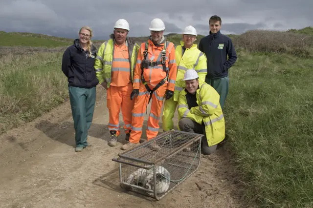 BAM Nuttall and Cornish Seal Sanctuary team with Bella