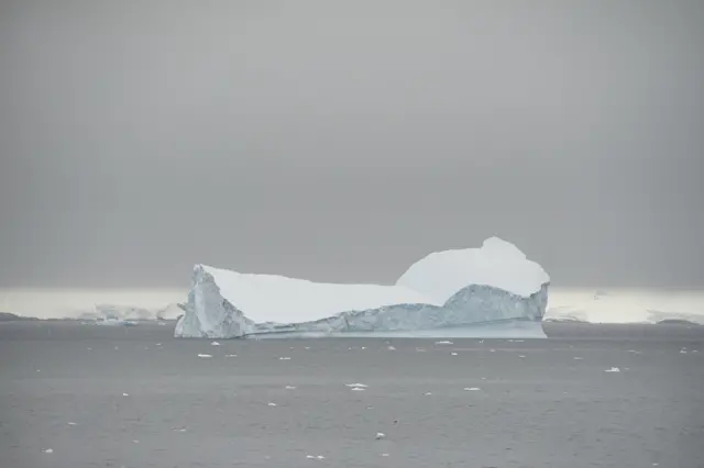 Iceberg