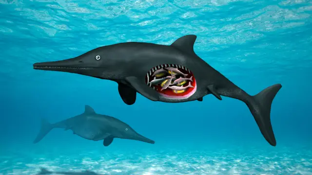 Ichthyosaur