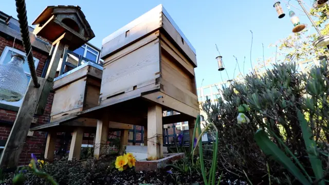 Garden on the roof