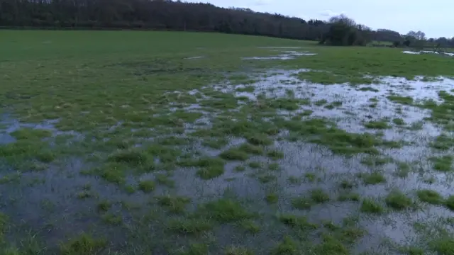 Water on the ground