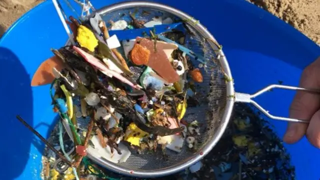 Beach litter in a sieve