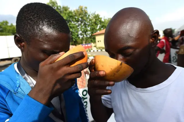 Drummers drink palmwine from the calabash at the African drum festival in Abeokuta, southwestern Nigeria, on April 19, 2018.