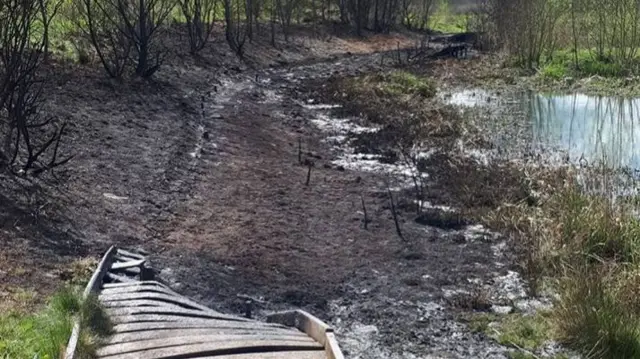 The destroyed section of boardwalk