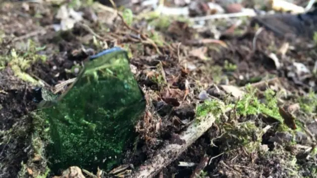 Piece of glass among twigs