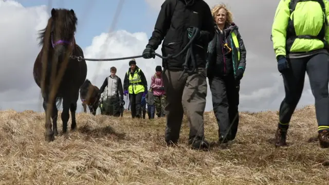 people leading ponies across moors