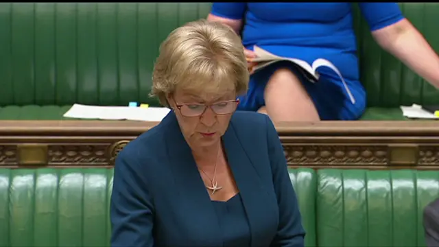 Andrea Leadsom