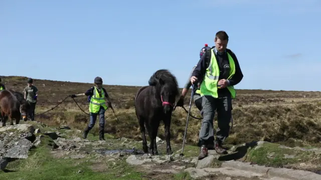 people leading ponies across a moor