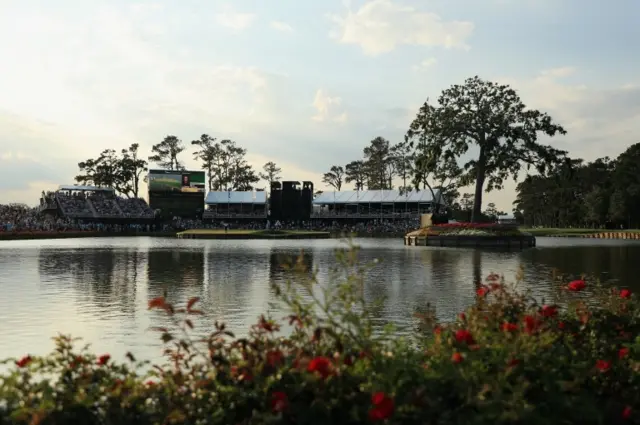 Sawgrass