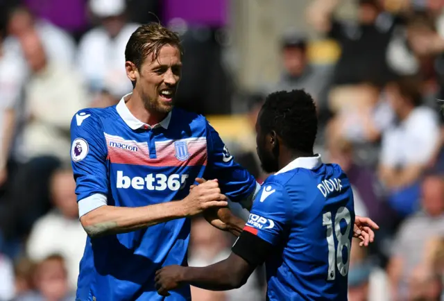 Peter Crouch of Stoke City celebrates