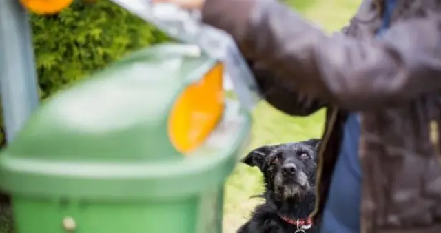 Dog and owner at dog mess bin