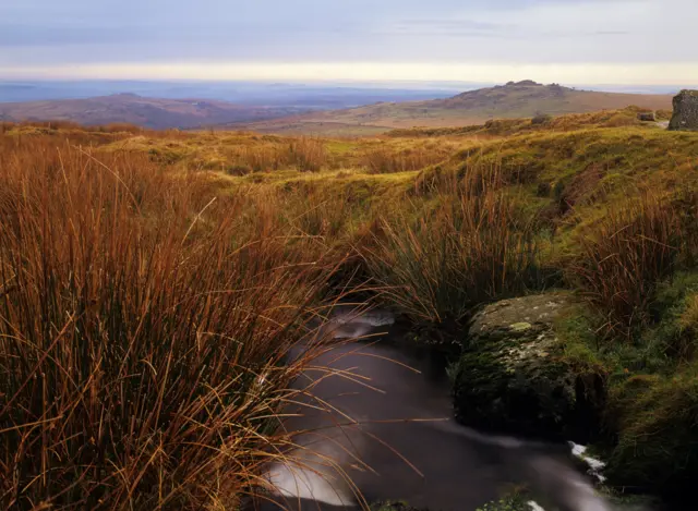 Peatland on Dartmoor