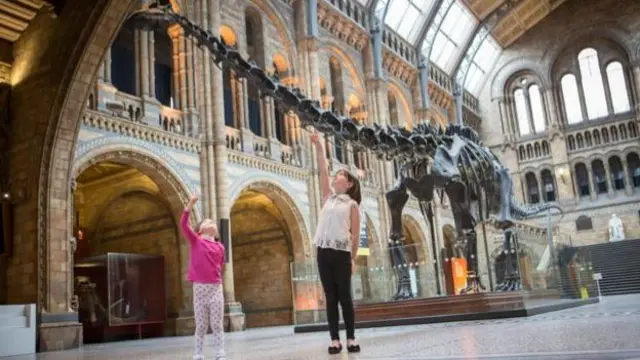 Dippy on display in London