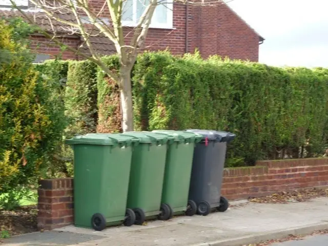 Wheelie bins