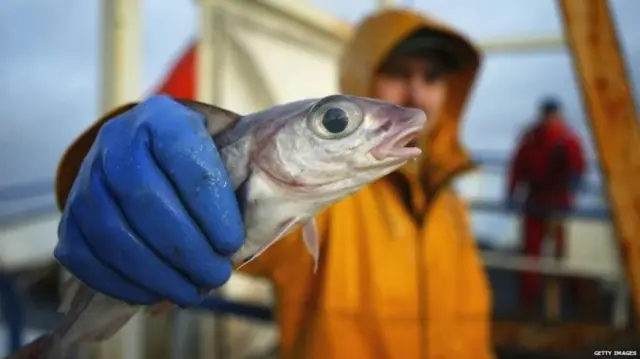 Picture of fisherman holding fish