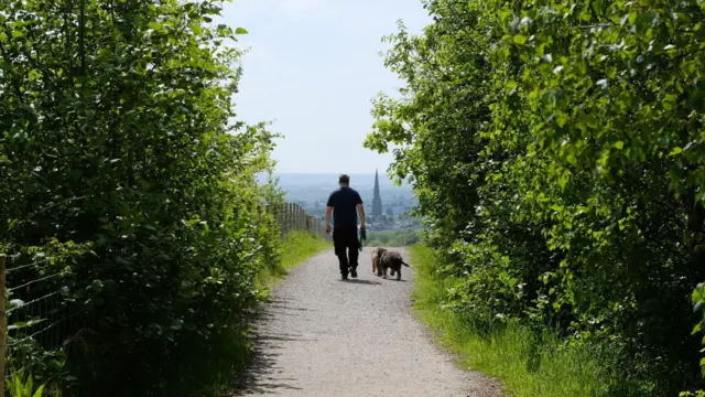 Gedling Country Park