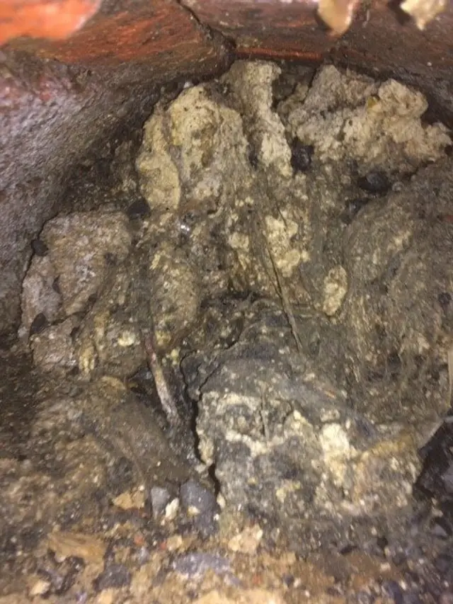 Fatberg in Gloucester