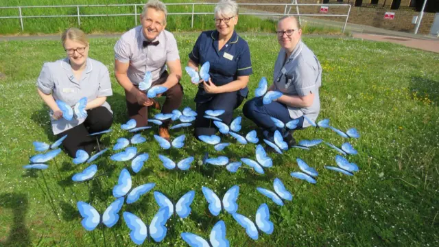 NHS staff with some of the butterflies