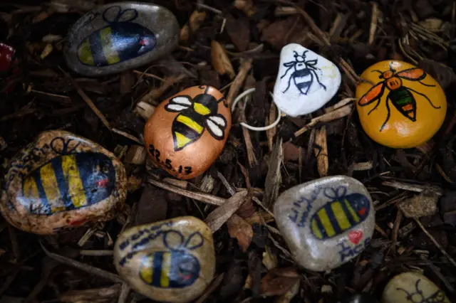 Pebbles with bee images