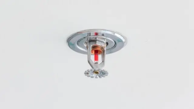 Fire sprinkler