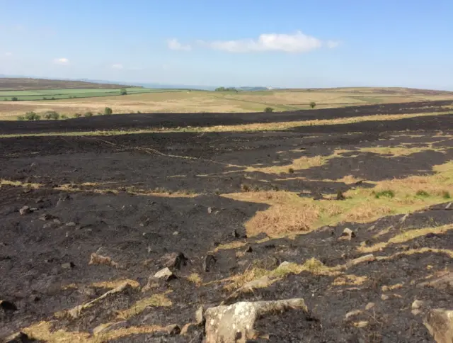 Moorland outside Sheffield after fire