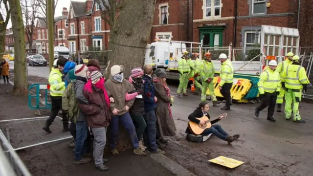 Tree protesters