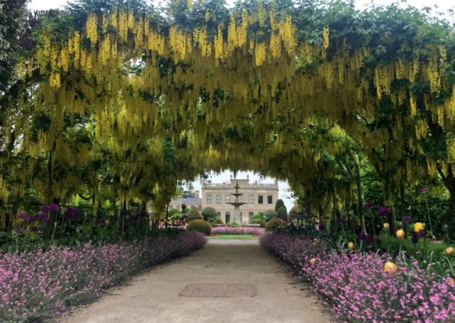 Floral arch