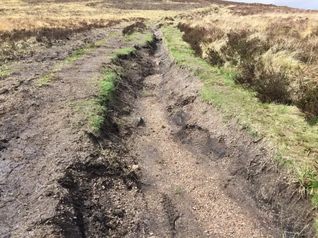 Track on Dartmoor