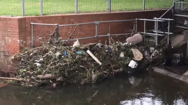 Storm Debris