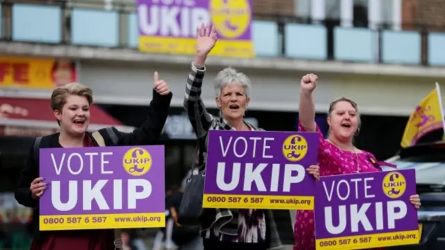 UKIP supporters