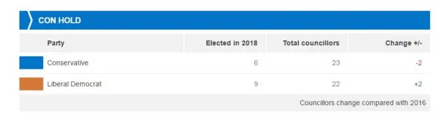 Winchester City Council results