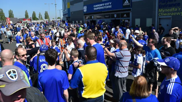 Cardiff City fans