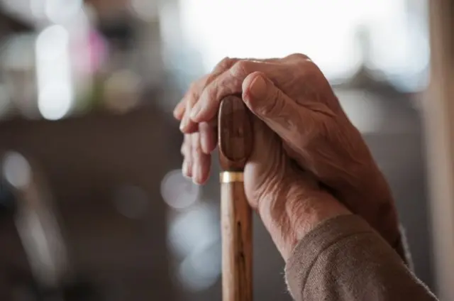 Hands on a walking stick