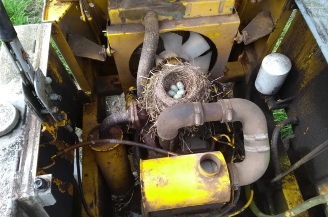 Nest in engine compartment