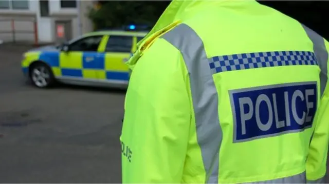 Police officer and police car