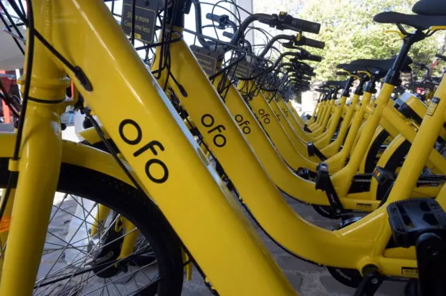 Ofo bikes