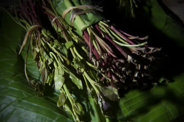 Picture of khat