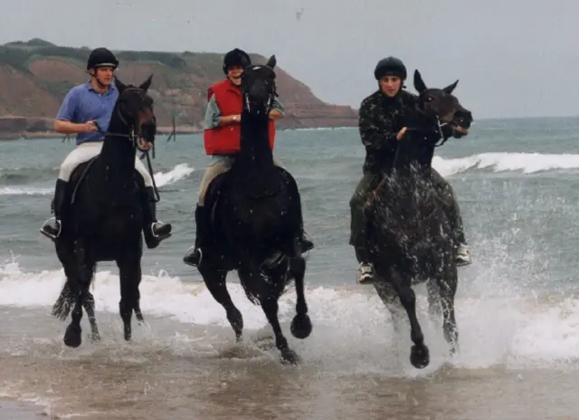 Horses on Exmouth Beach