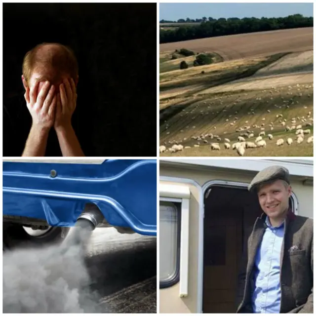 Depressed man, sheep, David Donaldson and car exhaust emissions