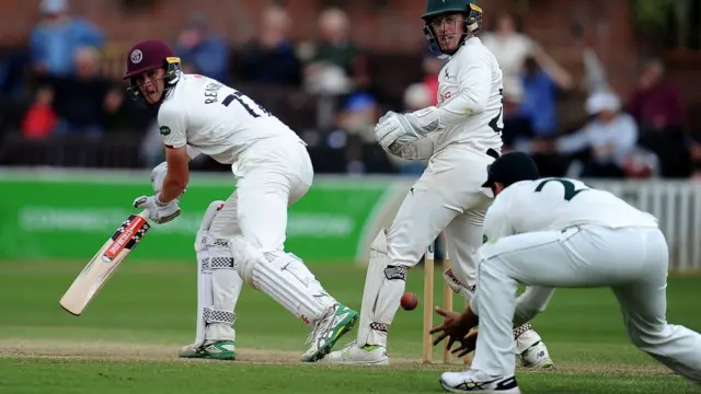 Ross Taylor catches Matt Renshaw