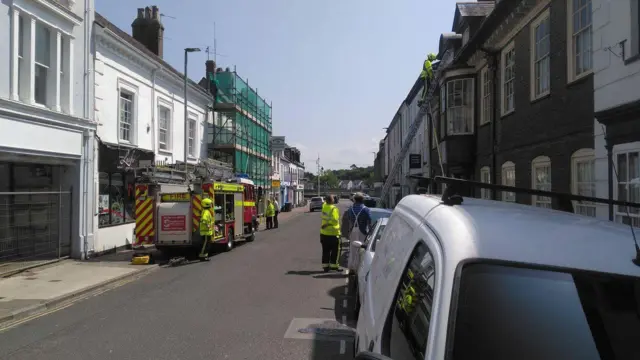 Pigeon being rescued in Bideford