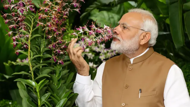 Indian Prime Minister Narendra Modi smells the orchid 'Dendrobium Narendra Modi (June 2018)