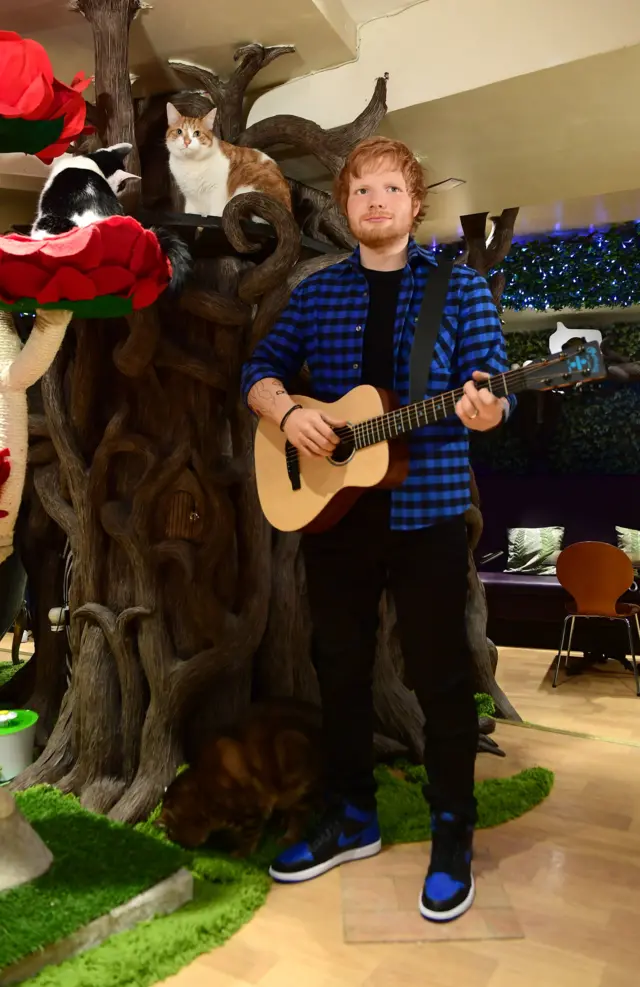 Ed Sheeran waxwork