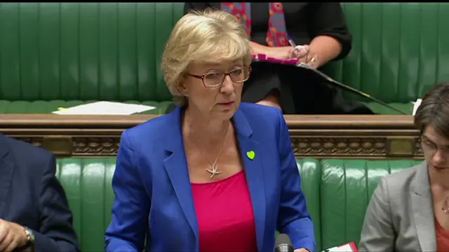 Andrea Leadsom