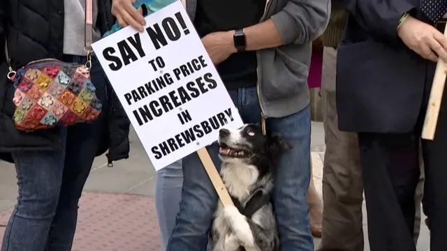 Dog "holding" placard